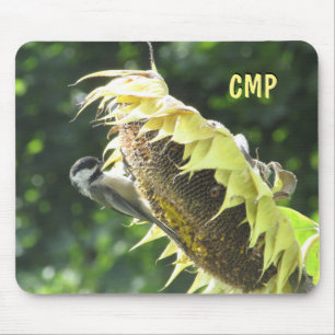 Chickadee, die Sonnenblumenkerne essen Mousepad