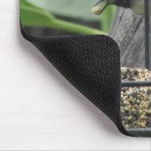 Chickadee Eating Sunflower sud Mousepad (Ecke)