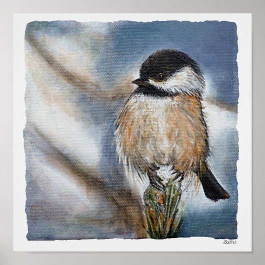 Chickadee Fine Art Print Poster (Vorne)