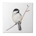 Chickadee Fliese<br><div class="desc">Ein realistischer Farbstift,  gezeichnet von einem bezaubernden Kichertier. Passen Sie Ihren Wünschen entsprechend an,  indem Sie Text hinzufügen oder die Hintergrundfarbe ändern!</div>