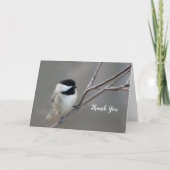 Chickadee-Foto Dankeskarte (Vorderseite)