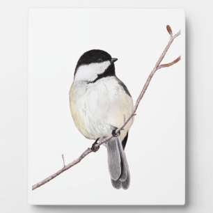 Chickadee Fotoplatte