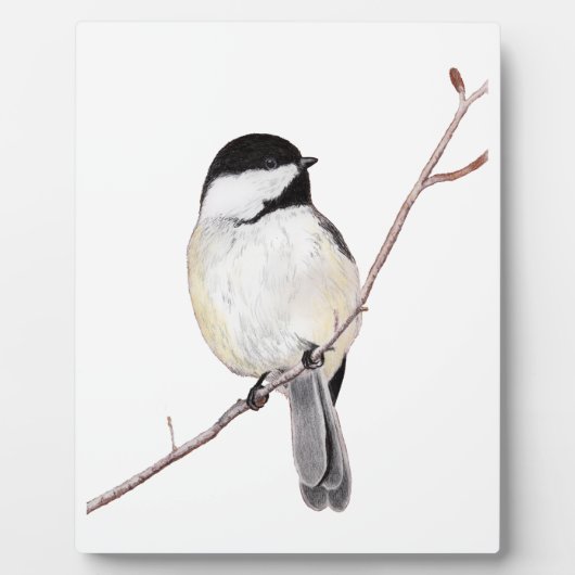 Chickadee Fotoplatte (Vorderseite)