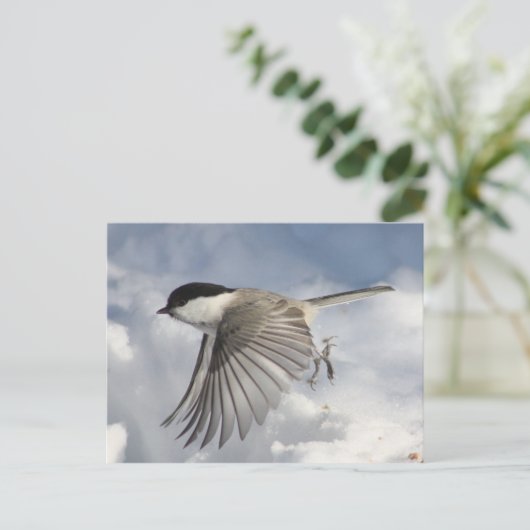 Chickadee im Flug Postkarte (Stehend Vorderseite)