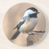Chickadee im goldenen Licht Sandstein Untersetzer (Vorne)