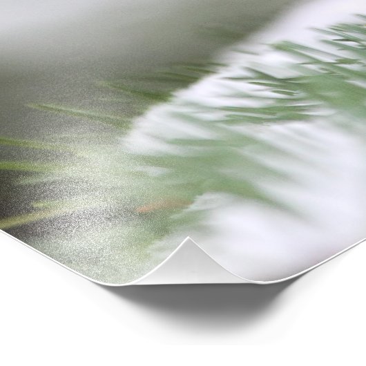 Chickadee im Schnee Fotodruck (Ecke)