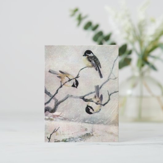 Chickadee im Schnee Postkarte (Stehend Vorderseite)