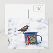 Chickadee im Schnee Postkarte (Vorne/Hinten)
