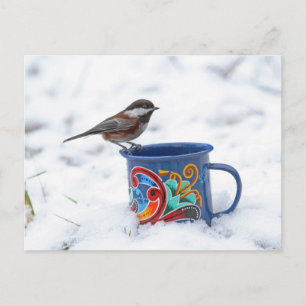 Chickadee im Schnee Postkarte