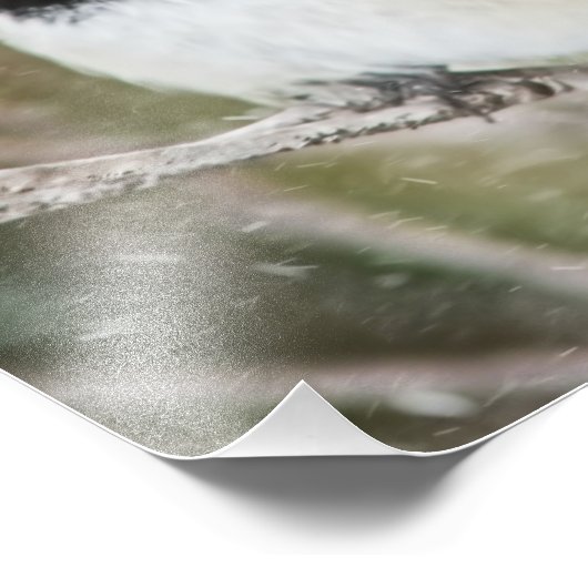 Chickadee im Schneesturm Fotodruck (Ecke)