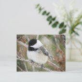 Chickadee im Schneesturm Postkarte (Stehend Vorderseite)