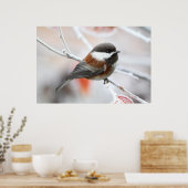 Chickadee im Winter Poster (Küche)
