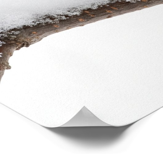 Chickadee im Winter Poster (Ecke)