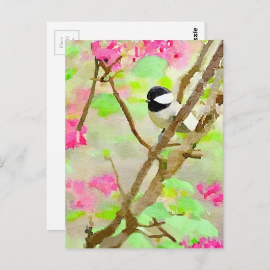 Chickadee in Cherry Tree Postkarte (Vorne/Hinten)