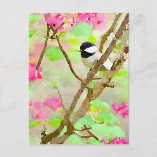 Chickadee in Cherry Tree Postkarte (Vorderseite)