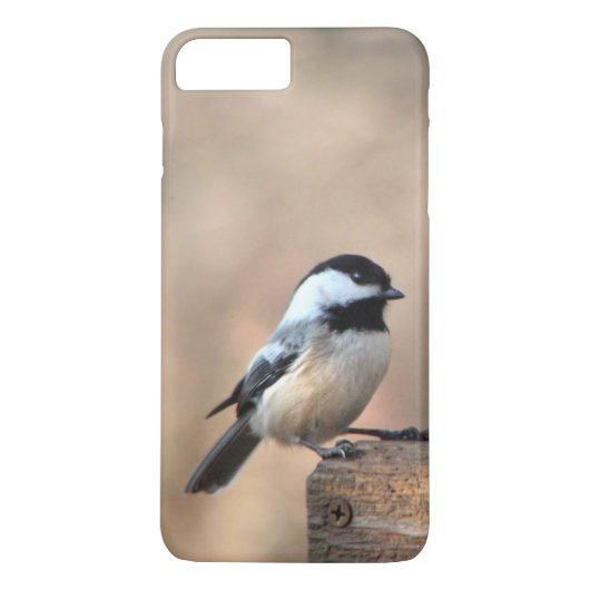 Chickadee in einem Golden Light iPhone 8/7 Plus Ca Case-Mate iPhone Hülle (Rückseite)