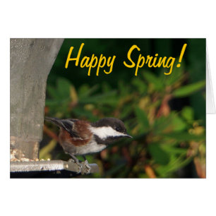 Chickadee-Karte