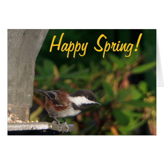 Chickadee-Karte (Vorderseite (Horizontal))