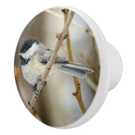 Chickadee-Keramik Keramikknauf