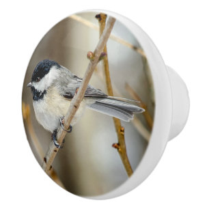 Chickadee-Keramik Keramikknauf