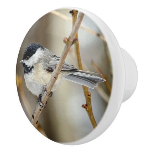 Chickadee-Keramik Keramikknauf (Rechts)