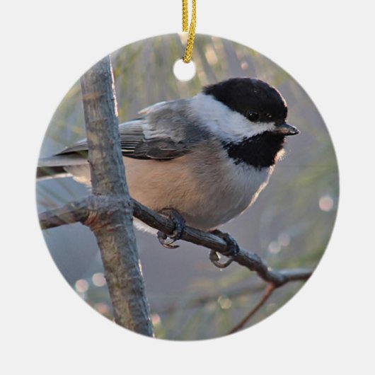 Chickadee Keramik Ornament (Vorne)