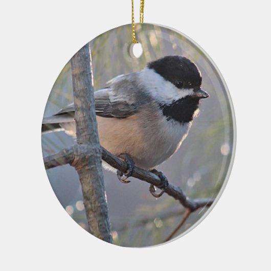 Chickadee Keramik Ornament (Links)