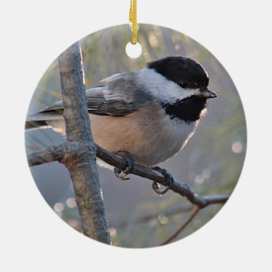 Chickadee Keramik Ornament (Hinten)