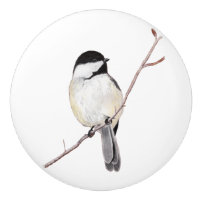 Chickadee