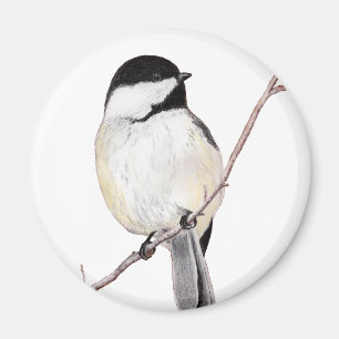 Chickadee Magnet