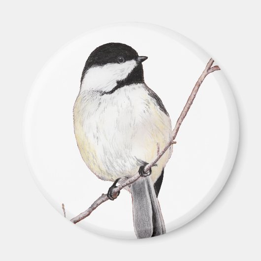 Chickadee Magnet (Vorne)