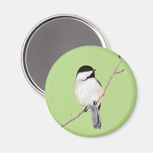 Chickadee Magnet (Vorderseite/Rückseite)