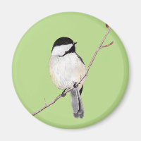 Chickadee