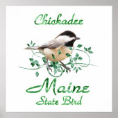 Chickadee Maine Staat Bird Poster (Vorne)