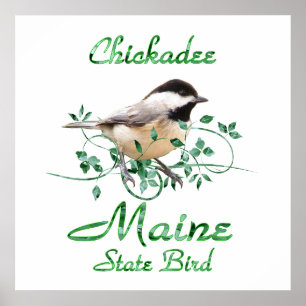 Chickadee-Maine-Staats-Vogel Poster