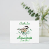 Chickadee Massachusetts Staat Bird Postkarte (Stehend Vorderseite)