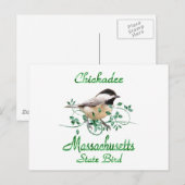Chickadee Massachusetts Staat Bird Postkarte (Vorne/Hinten)