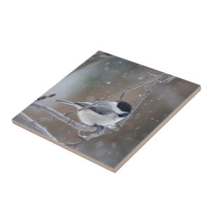 Chickadee mit schwarzer Kappe - Songbird Fliese