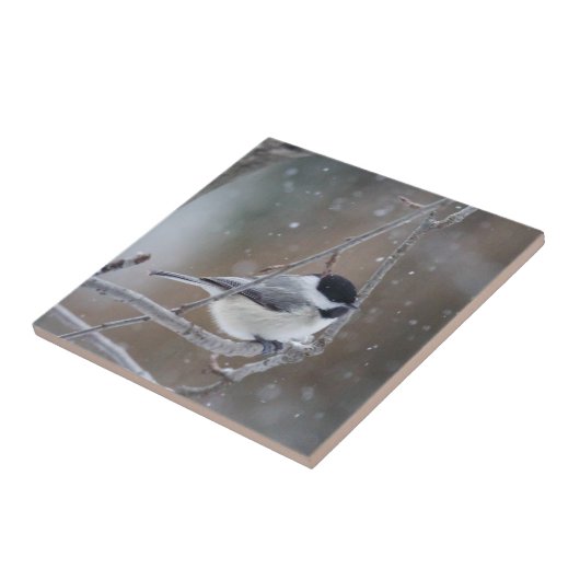 Chickadee mit schwarzer Kappe - Songbird Fliese (Seite)