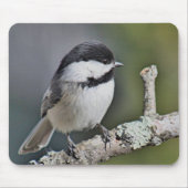 Chickadee Mousepad (Vorne)