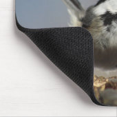Chickadee mousepad (Ecke)