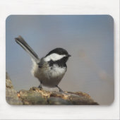 Chickadee mousepad (Vorne)