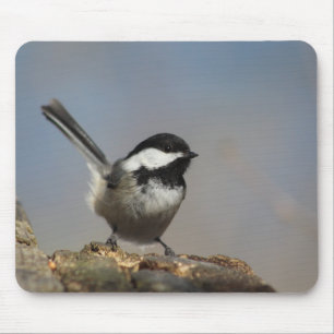 Chickadee mousepad