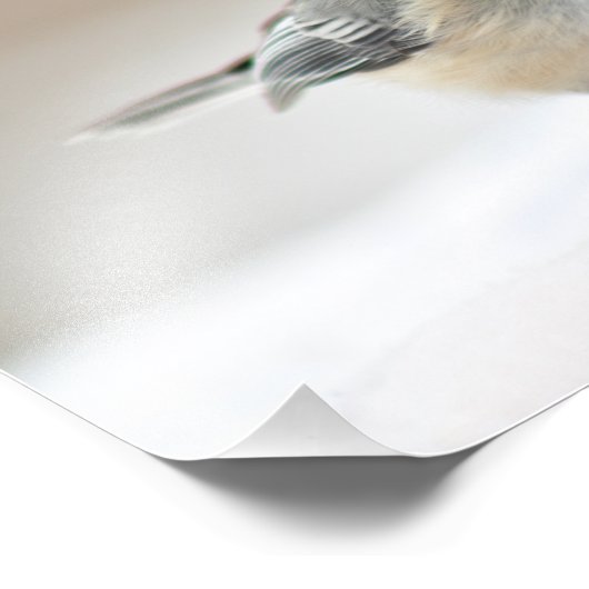 Chickadee nah fotodruck (Ecke)