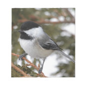 Chickadee Notizblock (Vorderseite)