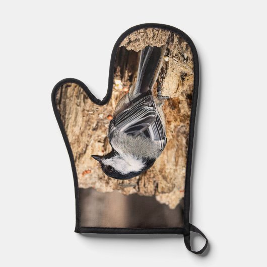 Chickadee Ofenhandschuh (Vorderseite)