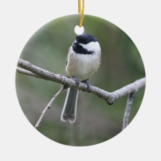 Chickadee-Ornament Keramik Ornament (Vorne)