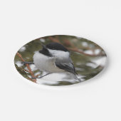 Chickadee Pappteller (Schrägansicht)