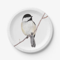 Chickadee