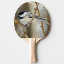 Chickadee Ping Pong Paddle